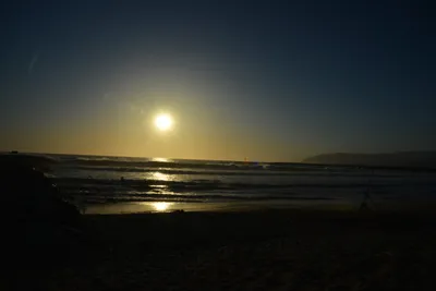 DSC_7289 (Large).JPG